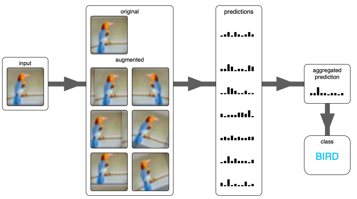 How to Correctly Use Test-Time Data Augmentation to Improve Predictions